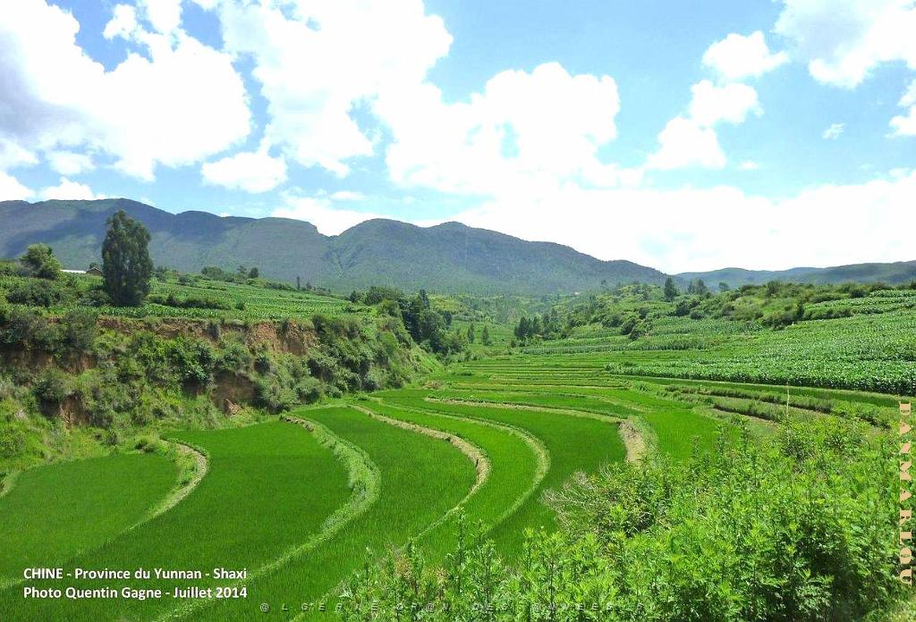 177 - Shaxi.JPG